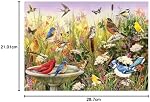 Cobble Hill 1000 Piece Puzzle - Feathered Friends - Sample Poster Included