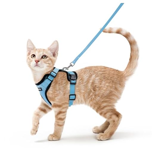 rabbitgoo Flyktsäker katt kattunge sele med koppel set för promenader, kattunge liten hundsele med koppel justerbara reflekterande remsor väst sele för små medelstora katter, XS himmelsblå