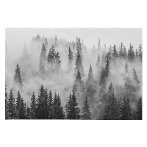 SAMAU  փ}bg  G X ӂӂ hA}bg DƂ ~ O Ɩp ItBXp ƒp 唻 60*90CM