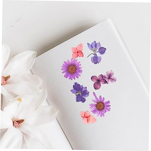 TEHAUX 3 Unidades 4 suprimentos artesanato DIY material artesanato flores secas faça você mesmo Prod