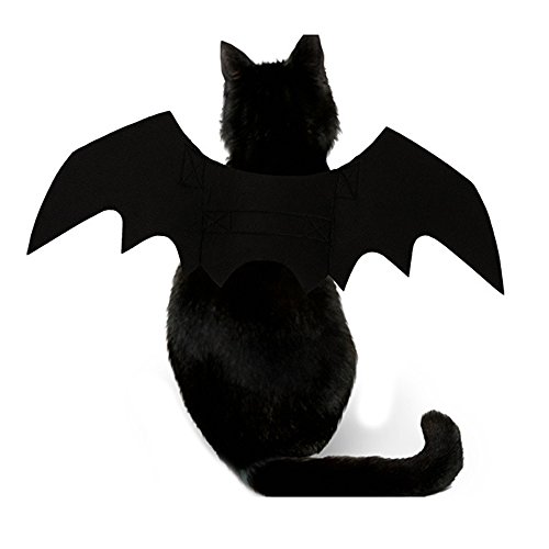 Halloween Pet Dog Bat Wings Cat Bat Costume (S, Black) #TOP5