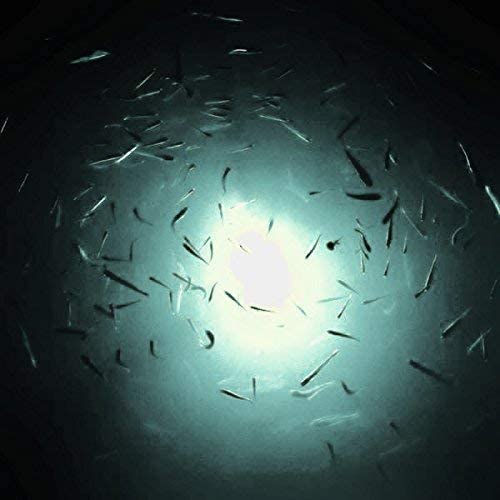 Green Blob Outdoors White Underwater Fishing Light 7500 Lumens,12V For Boats, 30Ft Cord, Alligator Clips & Cigarette Lighter Qd Adapters Led Fish Attractor Squd, Crappie Bass Catfish, Made In Texas #TOP5