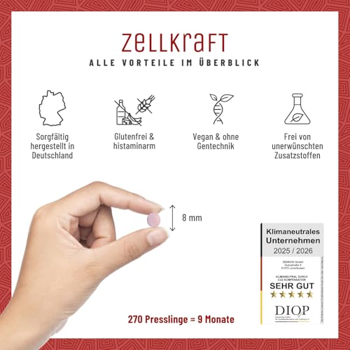 Vitamin B12 Vegan - 500 µg pro Tag - 270 Tabletten für 9 Monate - Beide aktive B12 Formen Adenosyl- & Methylcobalamin - Zellkraft B12 Komplex hochdosiert und laborgeprüft