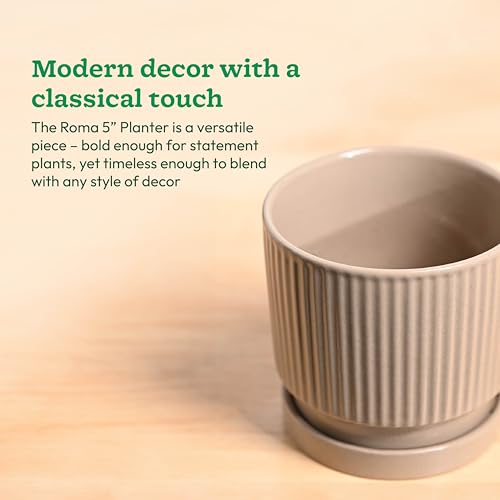 Image of UGAOO Roma Ceramic Pot for Indoor Plants, 5 Inch - Curtain Brown
