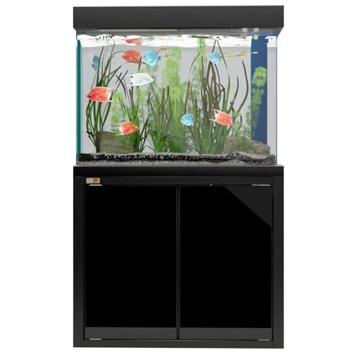Aqua Dream 50 Gallon Fish Tank with Premium Tempered & Ultra Transparent Glass (Complete Aquarium Setup) All in Black