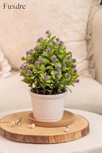 Fuxdre 2 Pack Small Desk Plants, Artificial Bathroom Plants Decor with Flower in Vintage Plastic Pots, Faux Plants Indoor for Shelf Decor in Home Office, and Spring Decor (Purple) — view 6