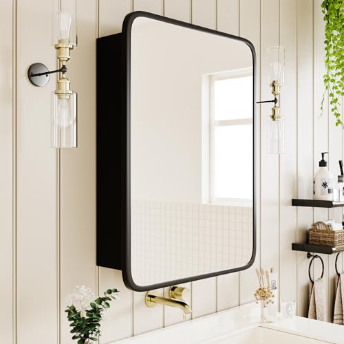 Image of AGDULL Medicine Cabinet with Black Metal Frame Mirror, Overall 20 inchx30 inch