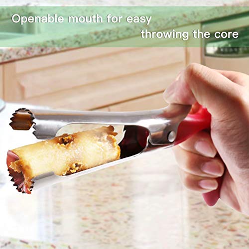 Apple Corer, Newness Premium Apple Corer Remover, Stainless Steel Apple or Pear Core Remover Tool for Home & Kitchen with Sharp Serrated Blade