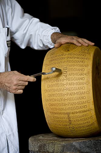 Parmigiano Reggiano Pdo From Hill, Whole Wheel, Seasoned 24 Months, Weighing.- 86 Lbs #TOP5
