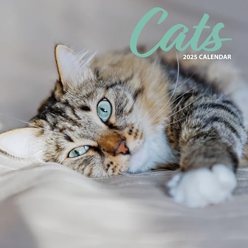 Cat 2025 Traditional Calendar, Various