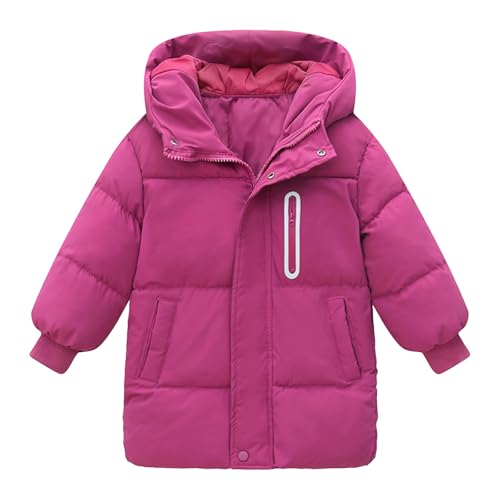 R[g LbY WjA q WPbg t[ht ubN q j̎q ̎q AE^[ _EWPbg  _ER[g ȓ ۉ h ~ n  ێ O pfbh h ~ y w w Z