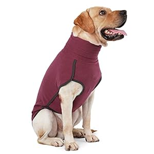 Dog Sweater Pullover Cold Weather Vest for Dogs Dog Sweatshirt Dog Jacket for Indoor and Outdoor Use (Large, Wine red)