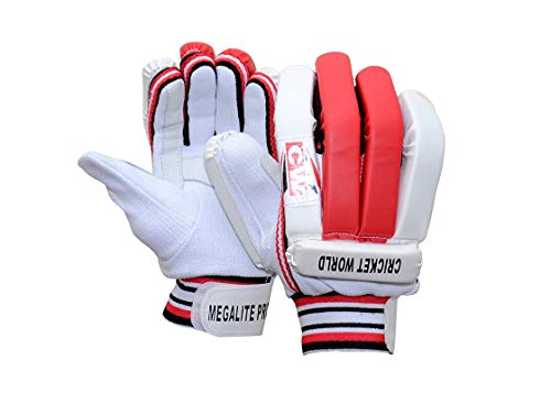 CW MAX Cricket Kit for Small Boys Cricket Practice Gear Batting Practice Equipment Elbow Guard Youth Thigh Pad Adult Batting Gloves Men\'s Batting Legguards Full Set Left & Right (Red Small Boys)