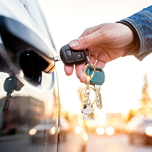 Amosfun Chaveiro Gato Chaveiro Animal Cristal Novidade Chaveiro Decorativo Chaveiro da Sorte Chaveir