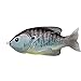 LiveTarget Sunfish Hollow Body Fishing Bait with Topwater Depth & #3/0 Hook, Blue/Metallic Bluegill, 3"