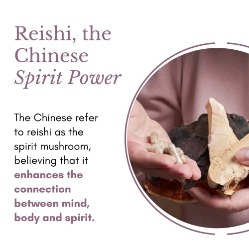 Reishi Mushroom Spirit Power Rooibos Tea - 100% Usda Certified Organic - Immune Booster, Vitality, Deep Relaxation, Stress Relief, Restorative - Fruiting Body - Gourmet Blend - 22 Servings, 4Oz, 113G (1 Pack) #TOP5