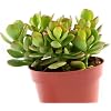 Product Photo 2