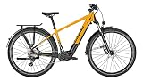 Raleigh Dundee 10 Bosch Elektro Trekking Bike 2022 (29' Herren Diamant L/48cm, Mustardyellow/Magicblack Glossy (Herren))