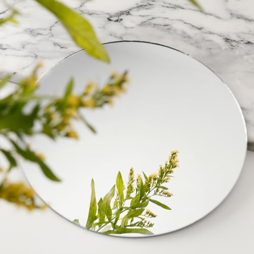 ASSRECT Okrągłe lustro 20 cm samoprzylepne akrylowe lustro montowane na ścianie lustro łazienkowe lusterko kosmetyczne do makijażu bez szkła bez ramy lustrzane płytki do sypialni, przedpokoju i salonu