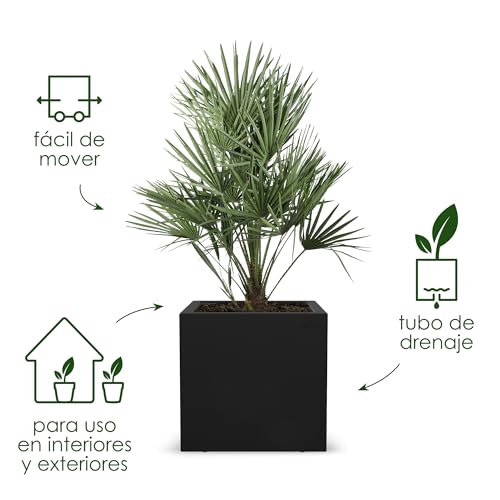 Miniatura 2 de Elho Vivo Next Square 30 - Jardinera Por Interior Y Exterior - Ø 29.5 X H 29.5 Cm - Negro Living Black
