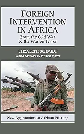 Foreign Intervention in Africa: From the Cold War to the War on Terror book cover