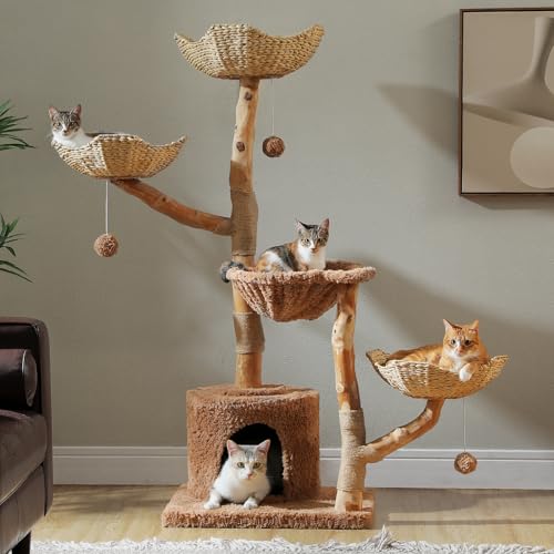 PAWZ Road Cat Tree for Indoor Cats Large Adults, 59 Inches Modern Cat Tower with 3 Large Baskets, Natural Solid Wood, Luxury Condo and Hammock, Modern Furniture for Big Cats, Brown