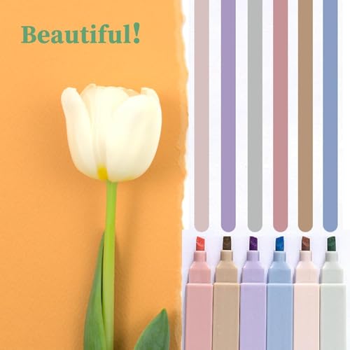 Image of Aesthetic Cute Highlighters and Pens - No Bleed, Mild, Soft Chisel Tip, Pastel Highlighters and Markers (Dual Tip, 6 Pcs)