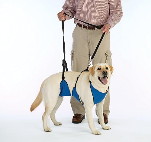 Guardian Gear Nylon Lift & Lead 4-in-1 Dog Harness, XXX-Large, Blue