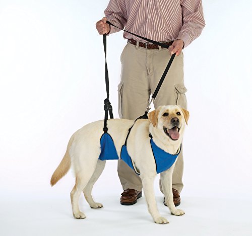 Guardian Gear Nylon Lift & Lead 4-In-1 Dog Harness, Xxx-Large, Blue #TOP10