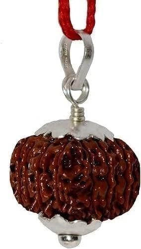 Original 14 Mukhi Rudraksha Pendant Certified Natural Nepali Fourteen Face Sacred Bead Silver Cap with Red Thread Necklace Unisex Adult