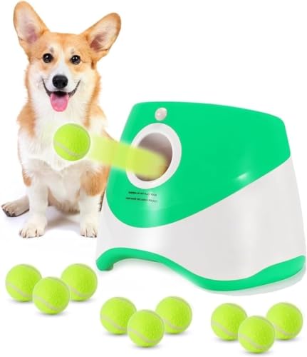 DancJulie{[`[   {[  {[ {[`[ @ 3ނ̔ˋ ejX{[3/6/9t  mߋ XgX ^sP ^`^p  Op (,9̃{[)