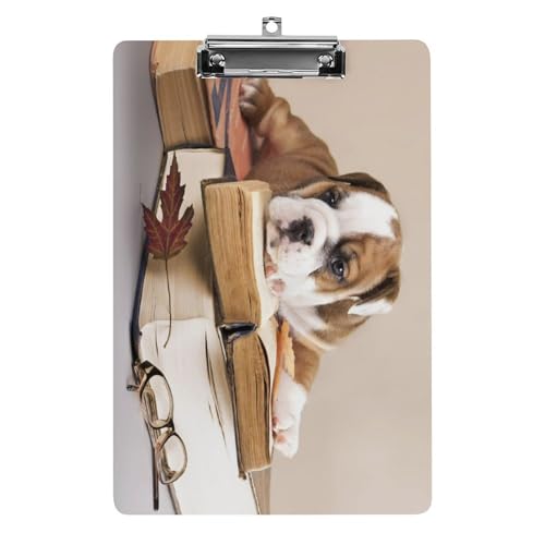 Nbv{[h A4 c^ ʔ  t`uhbO t@C{[h Ǌ|  ₷ v{[h Ď^т₷  [ cpbh pi  wZ ƒpoC_[