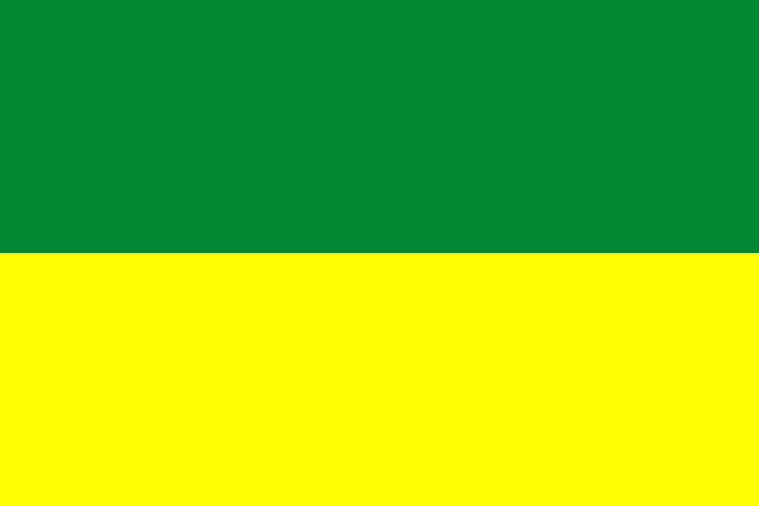 Drapeau Den Haag vlag 1920-1949 grand modèle historique hollandais
