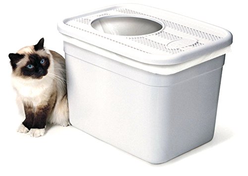 おすすめ猫用トイレの比較 もう匂わない 比較投票メディア キュリー