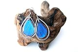 Real Blue Morpho Butterfly Wing Earrings