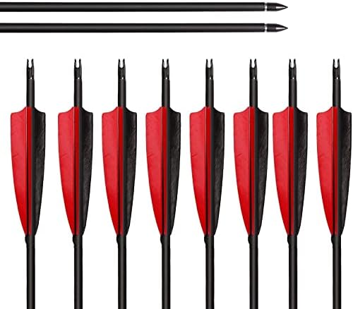 ARCHERY SHARLY 31" Carbon Fiber Arrows Targeting Practice Arrows, Black & Red Natural Feather Fletching and Replacement Screw-in Tips for Recurve & Compound Bow,Traditional Long Bow (12 Pack)