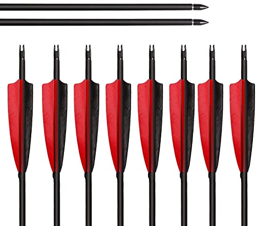 Archery Sharly 31" Carbon Fiber Arrows Targeting Practice Arrows, Black & Red Natural Feather Fletching And Replacement Screw-In Tips For Recurve & Compound Bow,Traditional Long Bow (12 Pack) #TOP8