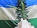 Nylon Cascadia Doug Flag 3x5'