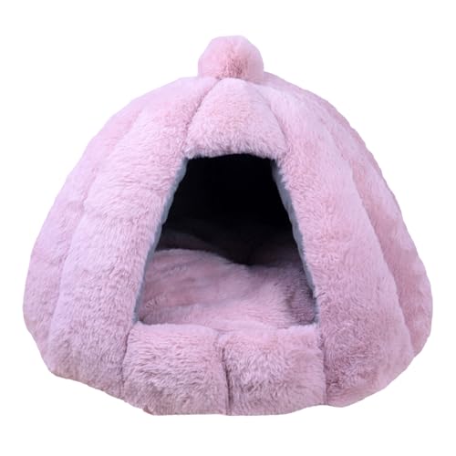  O ^ hbOnEX  vX`bN ybgnEX VF^[ ^ ^Kp hf  OK xbh g ӂӂ 薰 L p ~ۉ(sNCS)