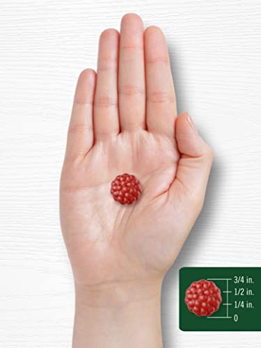 Carlyle Superfruit Gummies | 120 Count | Natural Pomegranate Berry Flavor | Vegan, Non-Gmo, Gluten Free #TOP6