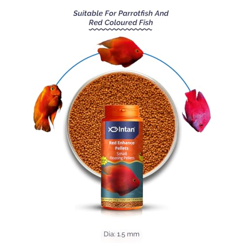 Image of Intan Red Enhance Pellets (Small 1.5mm Floating) | 140gm - Highly Nutritious Ornamental Fish Food for Parrotfish & Red Coloured Fish | Growel Feeds