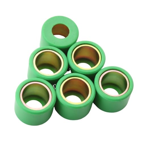 Rouleaux de variateur 21x17mm anti vibration pour GTS250 GTV