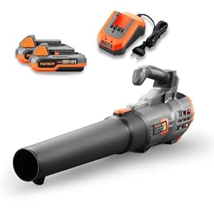 Fuxtec FX-E1LB20 Laubbläser Set 20V