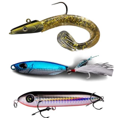 Pack Leurre pour la pêche en mer Efficace et REDOUTABLE [+ DE Haute Qualite] Leurre Poisson Nageur de Surface , Souple et jig pour la Peche du Bar, Loup, maquereau, Lieu, Vieille du Bord ou en Bateau Cover
