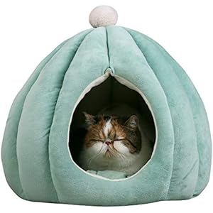 Cactus Pet Condo for Cats Puppy and Small Dogs in Super Plu