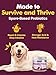 Probiotics for Dogs - Dog Probiotics for Digestive Health, Prebiotic, Digestive Enzymes for Dogs with Pumpkin, Omega-3, Support Gut, Immune, Diarrhea, 120 Soft Chews