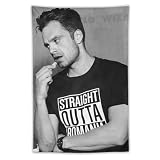 QENO Sebastian Stan Actor Art Poster (6) Wall Tapestry Scroll Tapestries Art Painting Picture Bedroom Decor Home 40'x60'