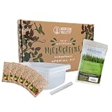 Mountain Valley Self-Watering Kit