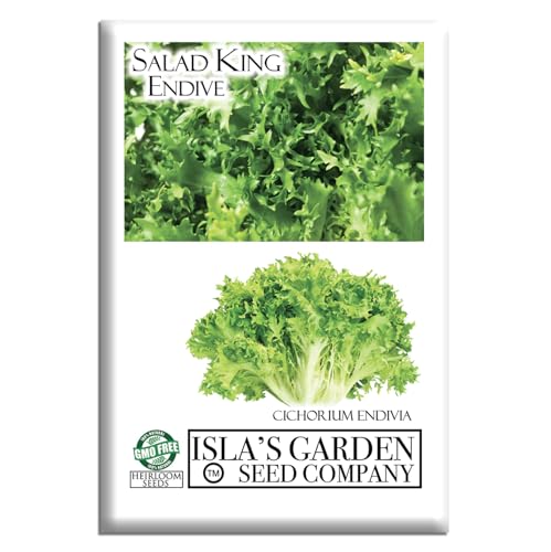Organic Endive Seeds for Growing