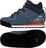 adidas,Terrex Snowpitch Disney,CBLAC/GRESIX/GREFOU,Unisex,1